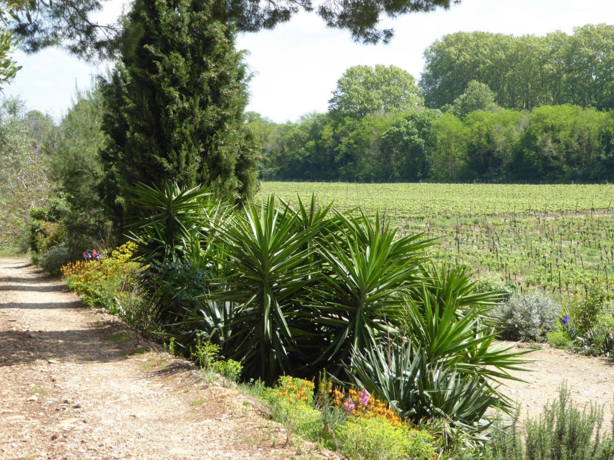 Domaine De L'Herbe Sainte Mirepeisset Exteriör bild