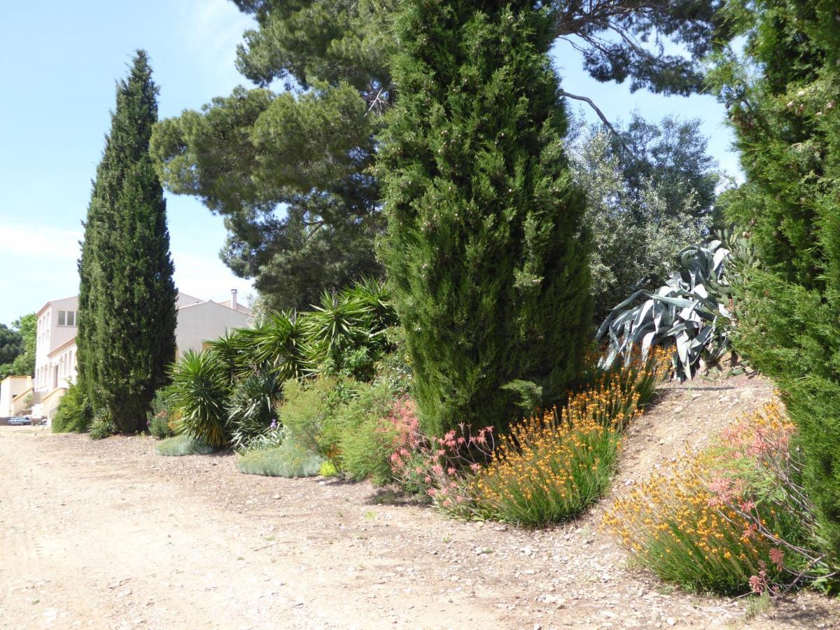 Domaine De L'Herbe Sainte Mirepeisset Exteriör bild