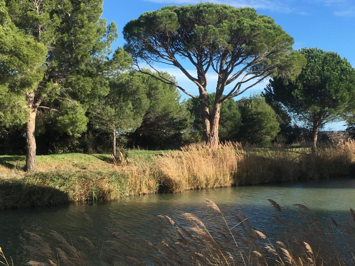 Domaine De L'Herbe Sainte Mirepeisset Exteriör bild