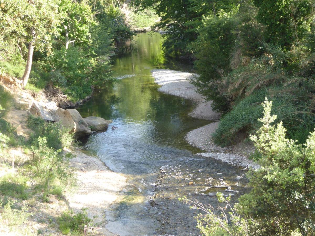 Domaine De L'Herbe Sainte Mirepeisset Exteriör bild