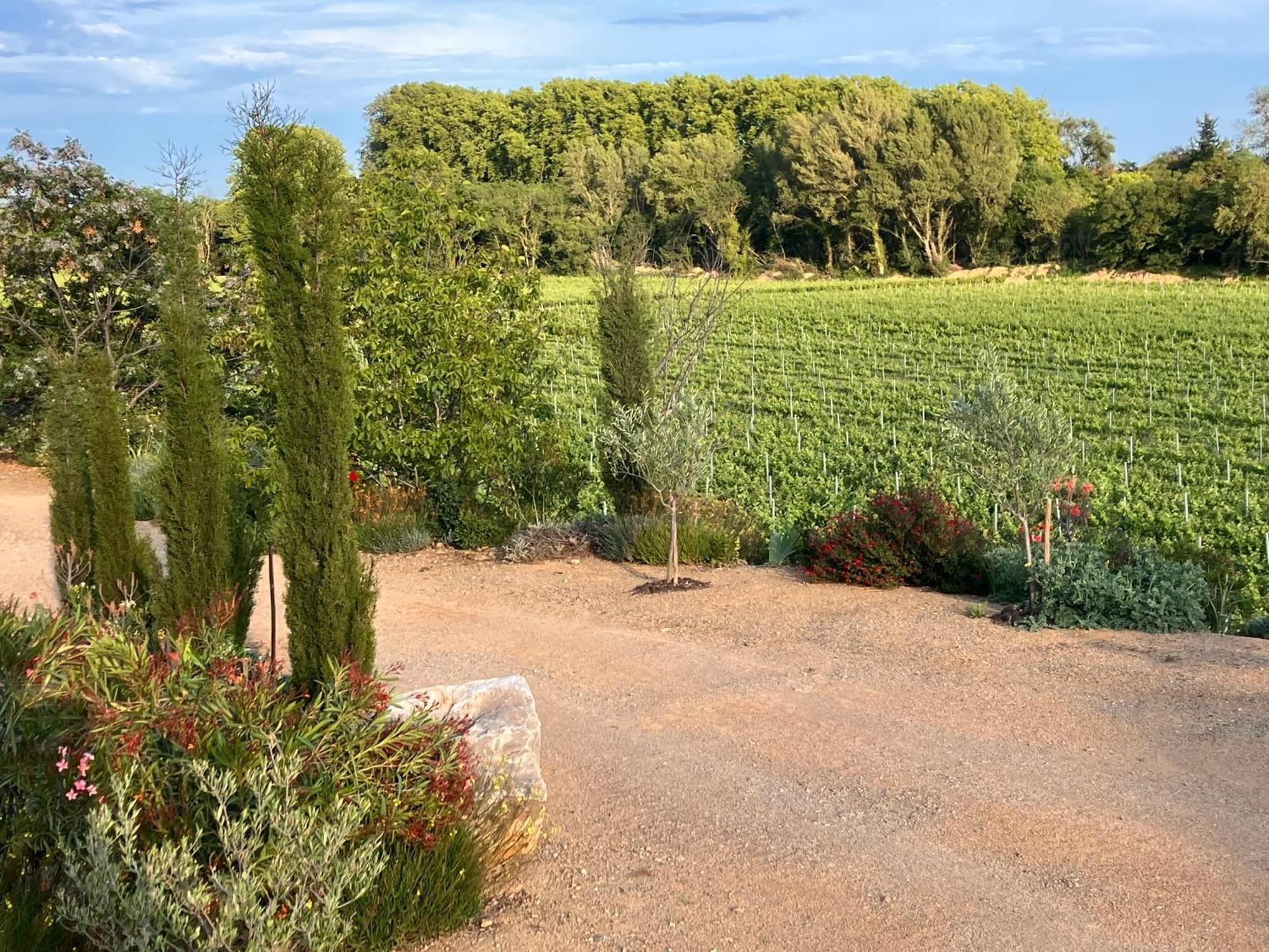 Domaine De L'Herbe Sainte Mirepeisset Exteriör bild