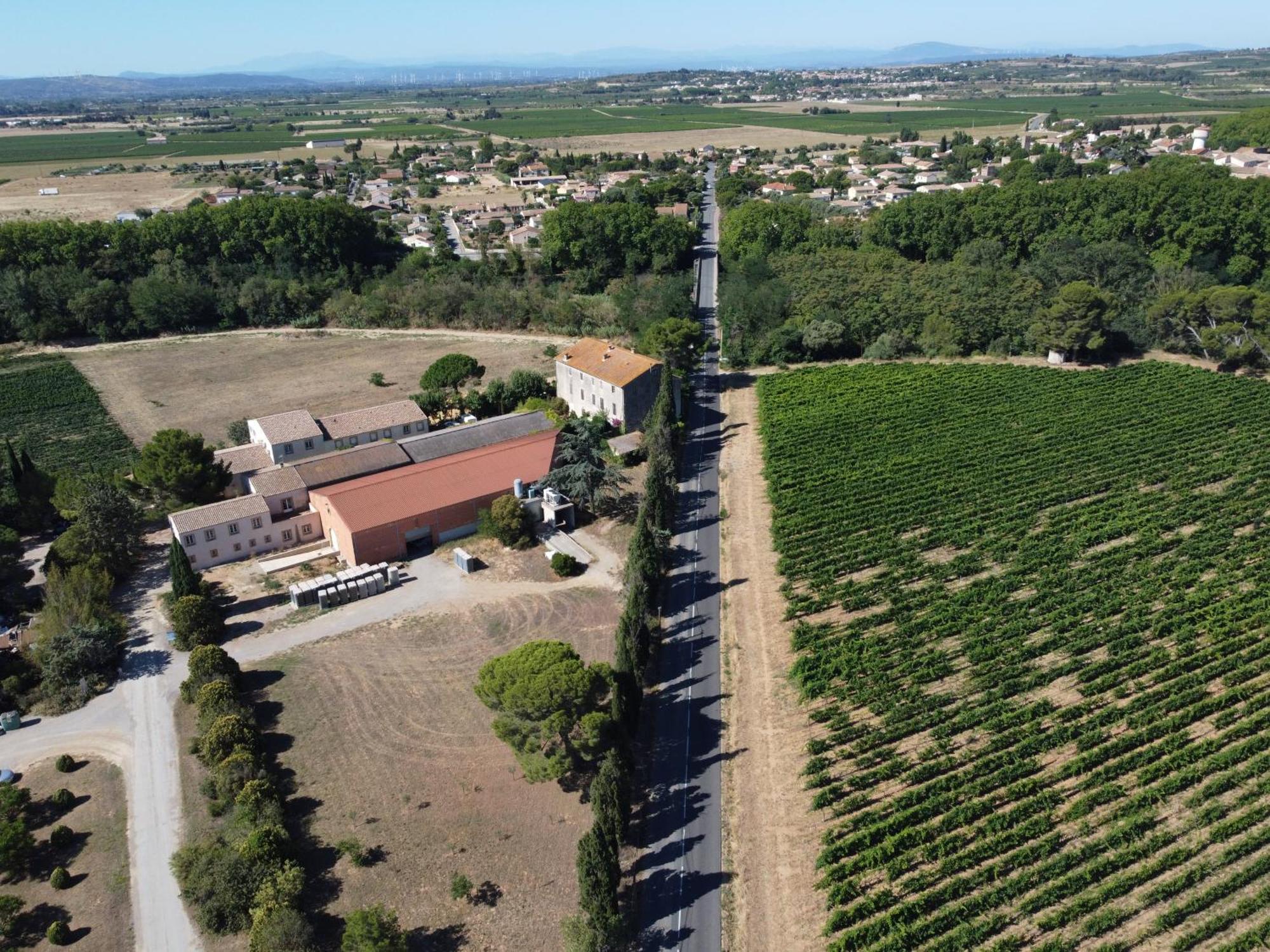 Domaine De L'Herbe Sainte Mirepeisset Exteriör bild